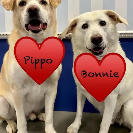 Aloe Ranch Elba Bed & Breakfast