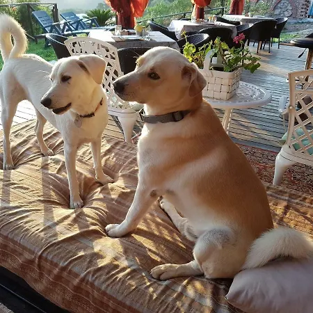 Aloe Ranch Elba Frühstückspension Cavo