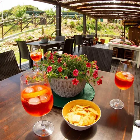 Aloe Ranch Elba Bed & Breakfast *