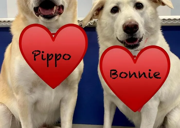 Aloe Ranch Elba فندق مبيت وإفطار