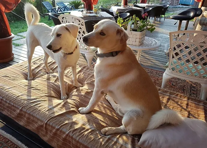 Aloe Ranch Elba فندق مبيت وإفطار كافو